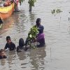 Hari Mangrove se-Dunia, Dishut Sulsel Tanam 2.000 Bibit Mangrove